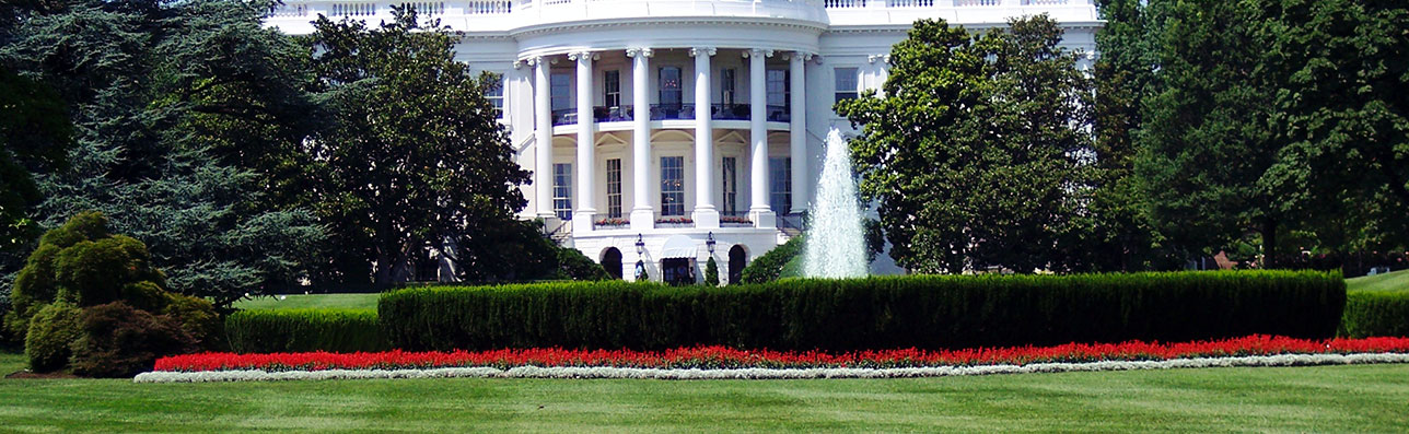 Easy minimal Template 2